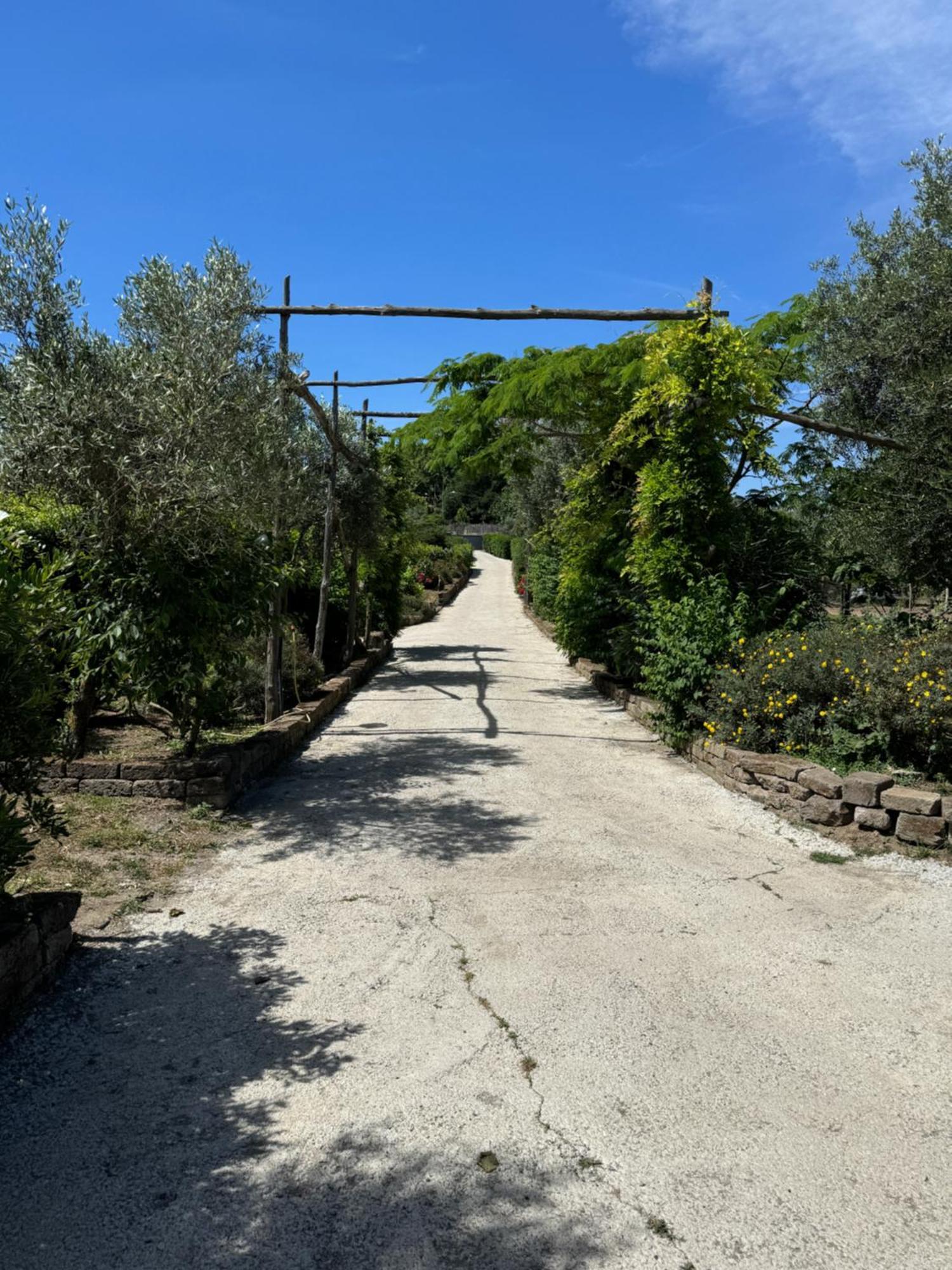 Agriturismo Piccolo Paradiso Piano di Sorrento Eksteriør billede