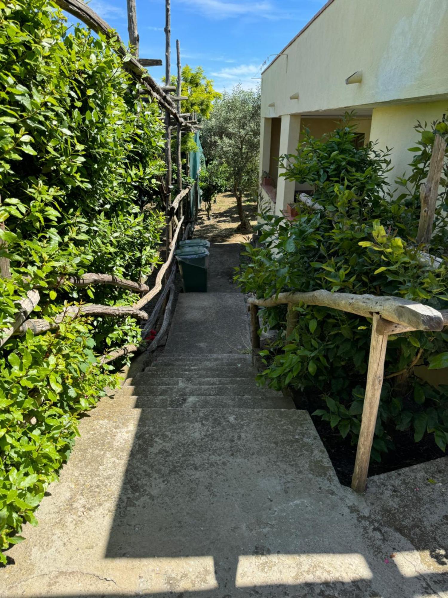 Agriturismo Piccolo Paradiso Piano di Sorrento Eksteriør billede