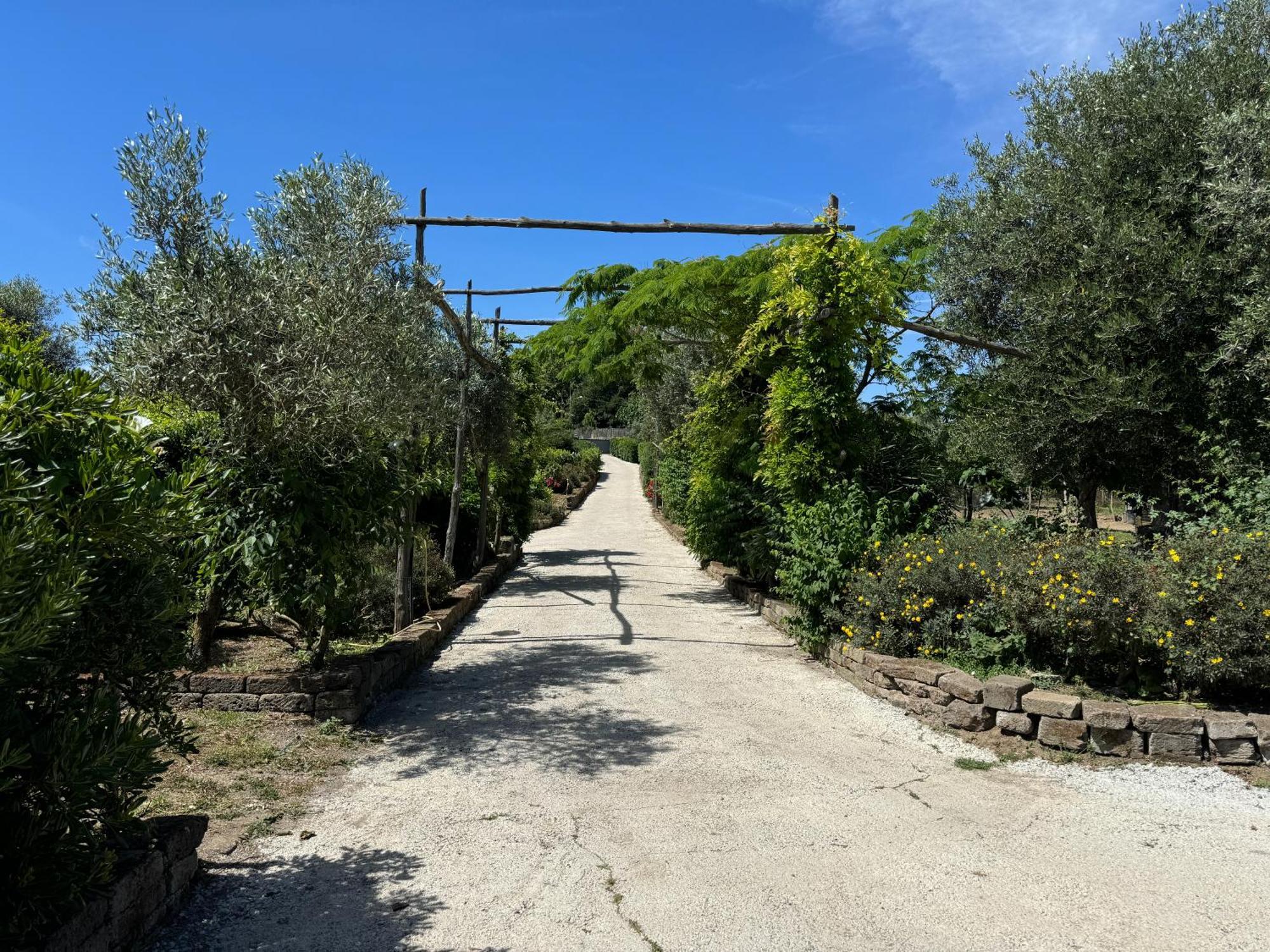 Agriturismo Piccolo Paradiso Piano di Sorrento Eksteriør billede