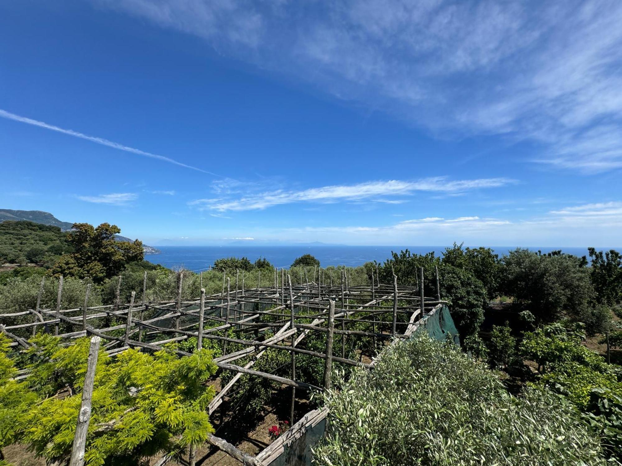 Agriturismo Piccolo Paradiso Piano di Sorrento Eksteriør billede