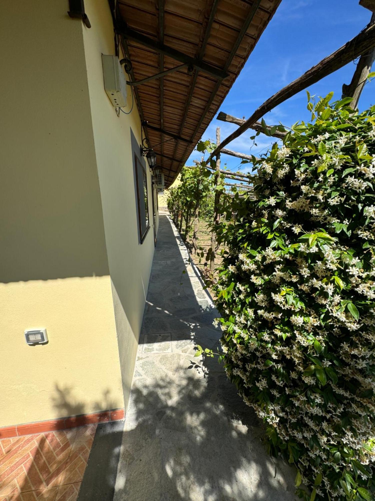 Agriturismo Piccolo Paradiso Piano di Sorrento Eksteriør billede