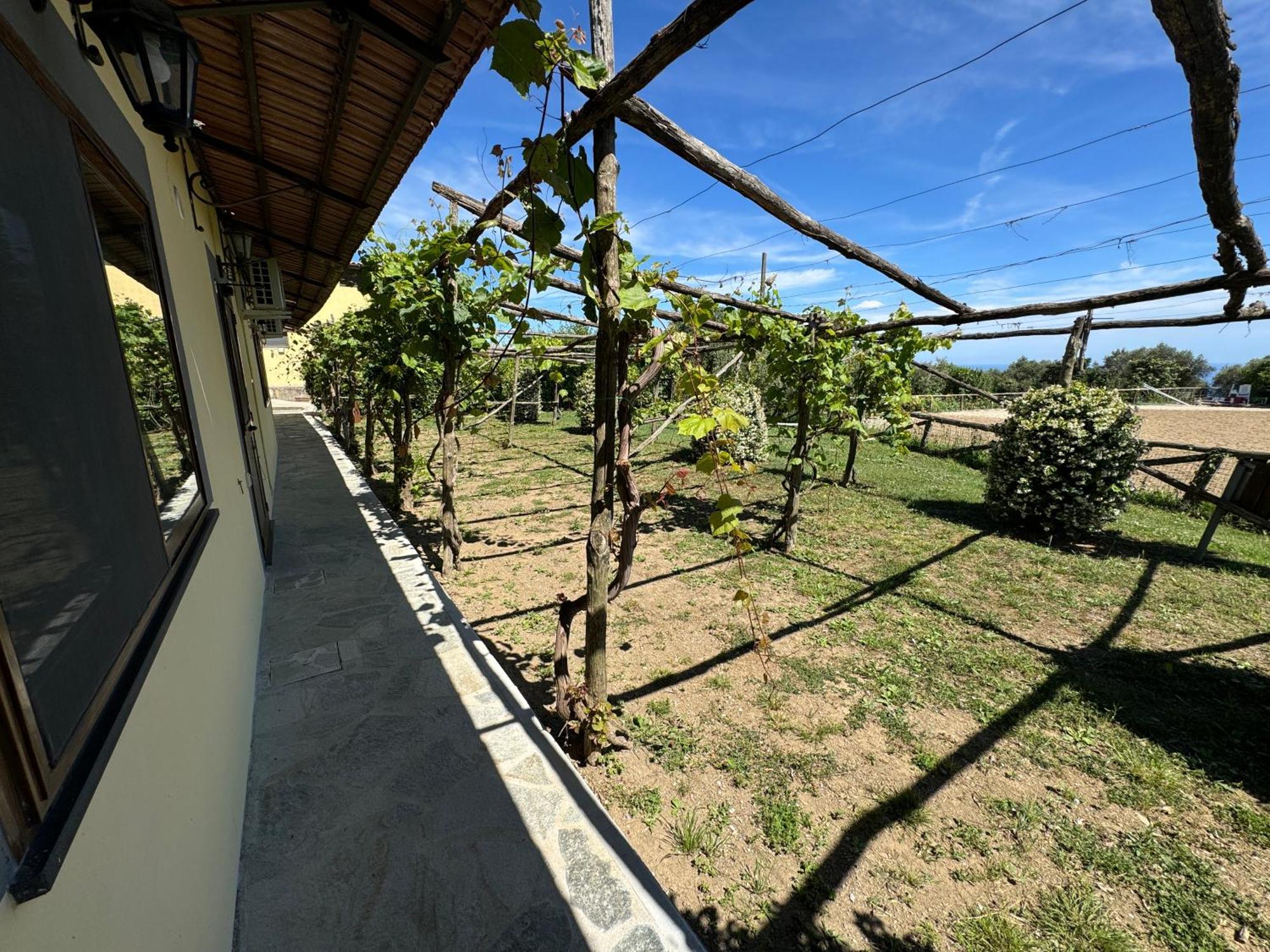 Agriturismo Piccolo Paradiso Piano di Sorrento Eksteriør billede