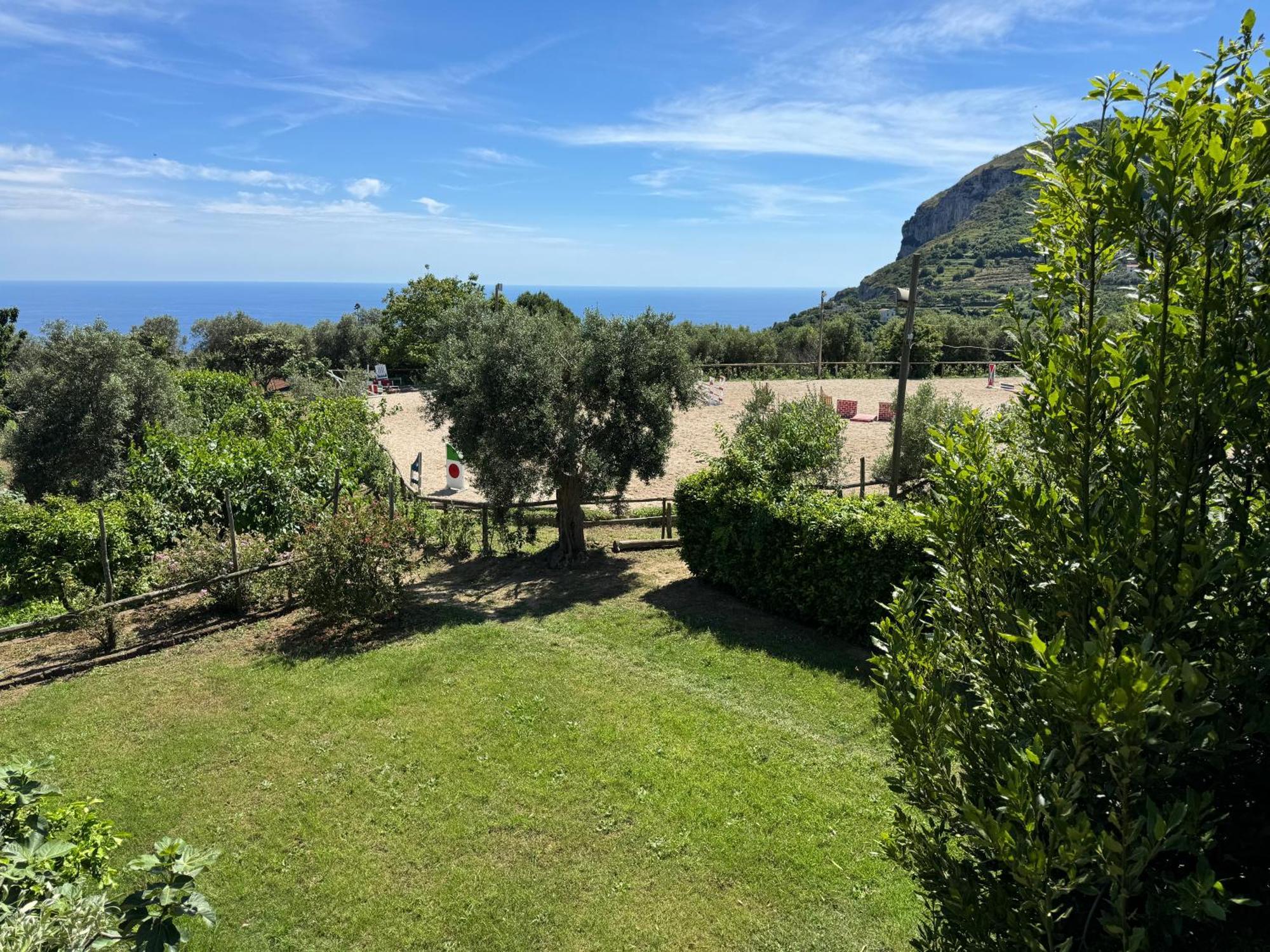 Agriturismo Piccolo Paradiso Piano di Sorrento Eksteriør billede