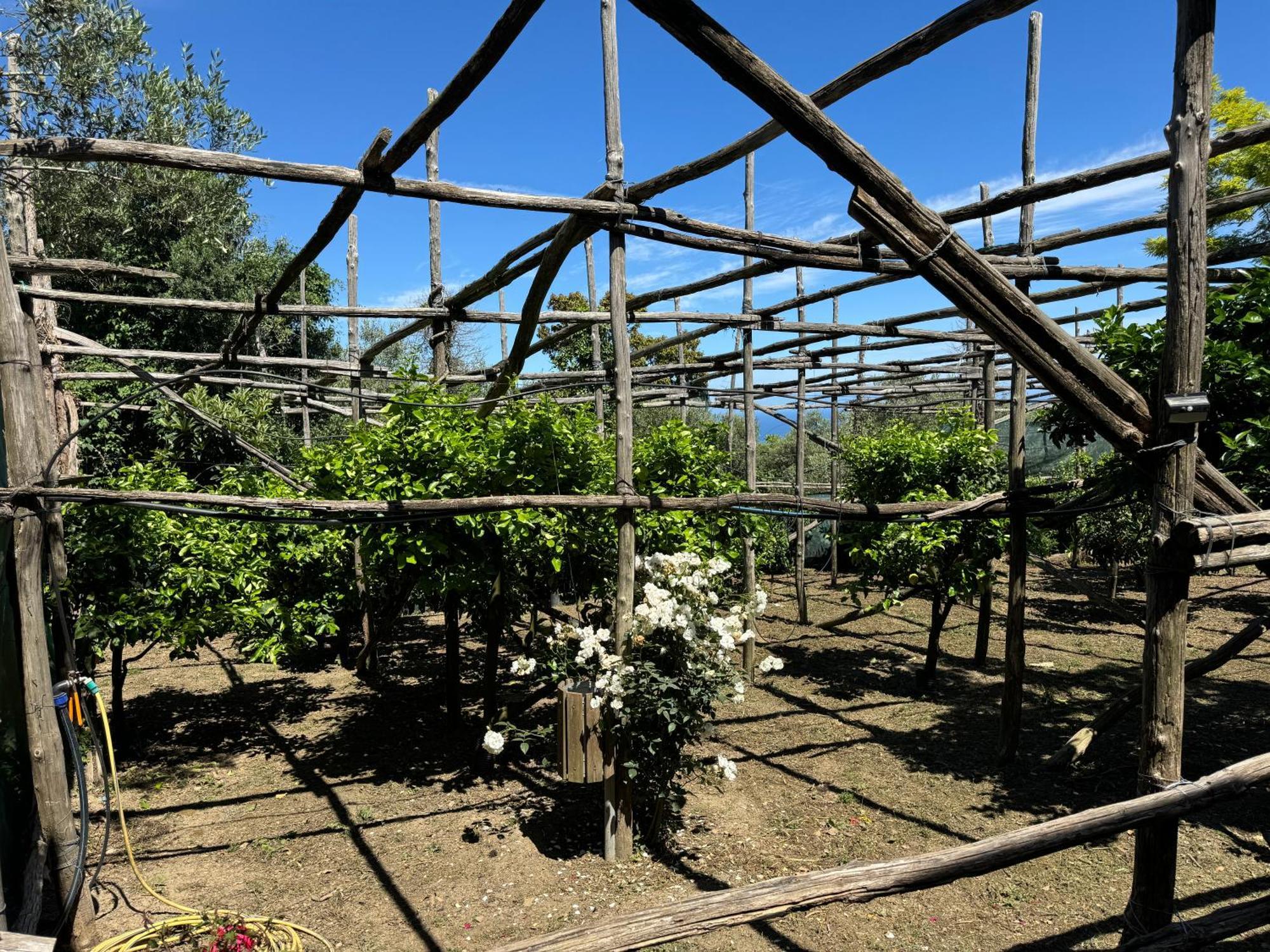Agriturismo Piccolo Paradiso Piano di Sorrento Eksteriør billede