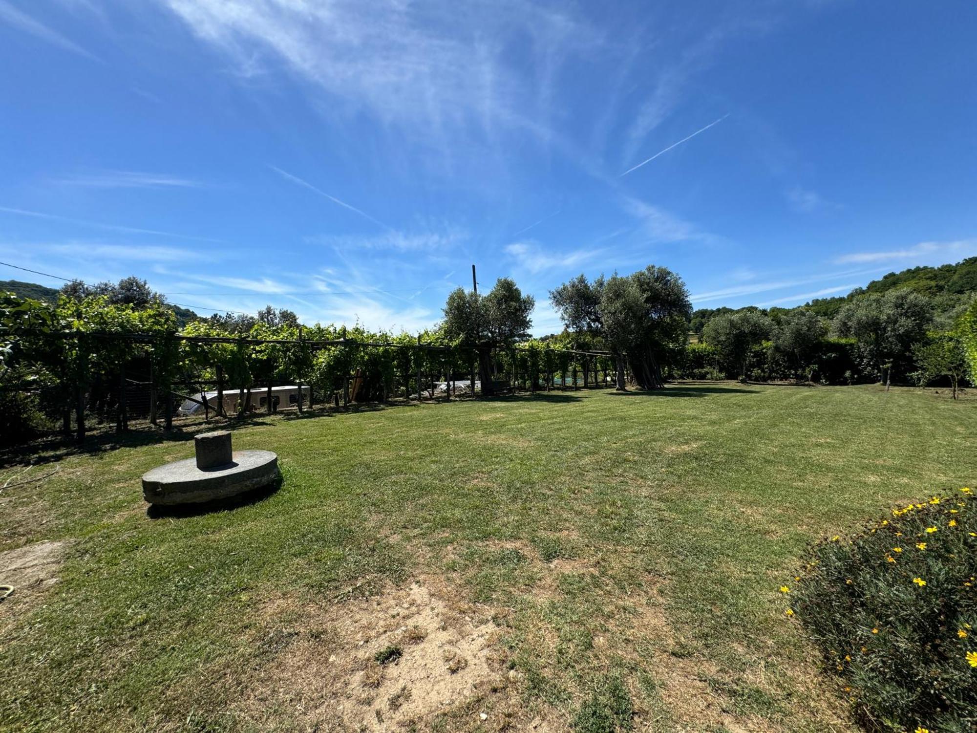 Agriturismo Piccolo Paradiso Piano di Sorrento Eksteriør billede