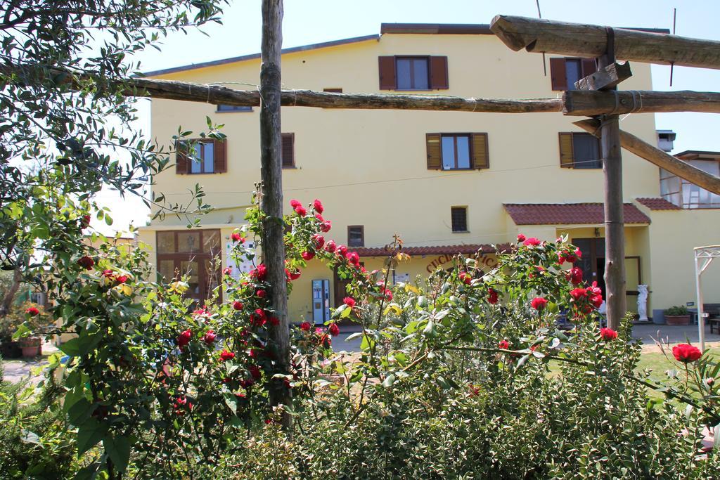 Agriturismo Piccolo Paradiso Piano di Sorrento Eksteriør billede