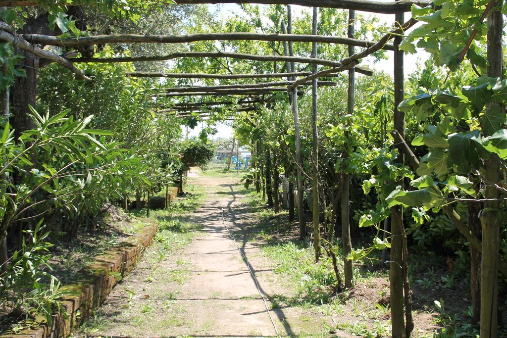 Agriturismo Piccolo Paradiso Piano di Sorrento Eksteriør billede