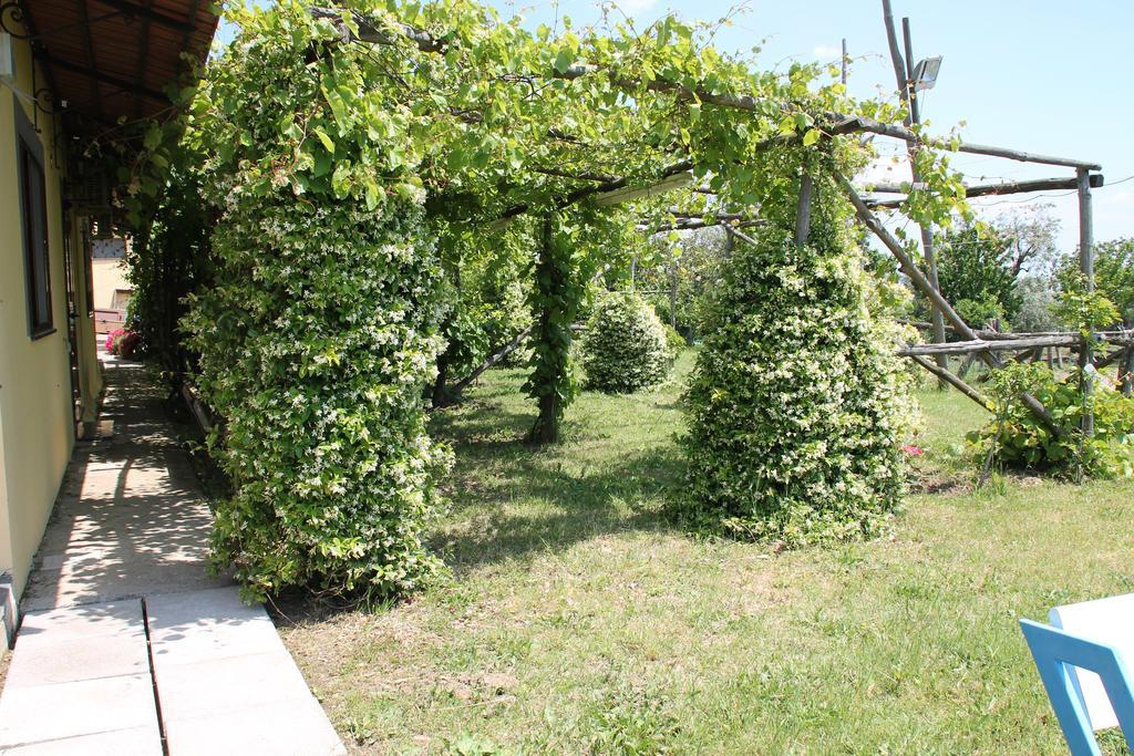 Agriturismo Piccolo Paradiso Piano di Sorrento Eksteriør billede