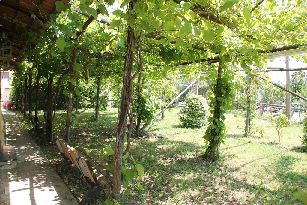 Agriturismo Piccolo Paradiso Piano di Sorrento Eksteriør billede