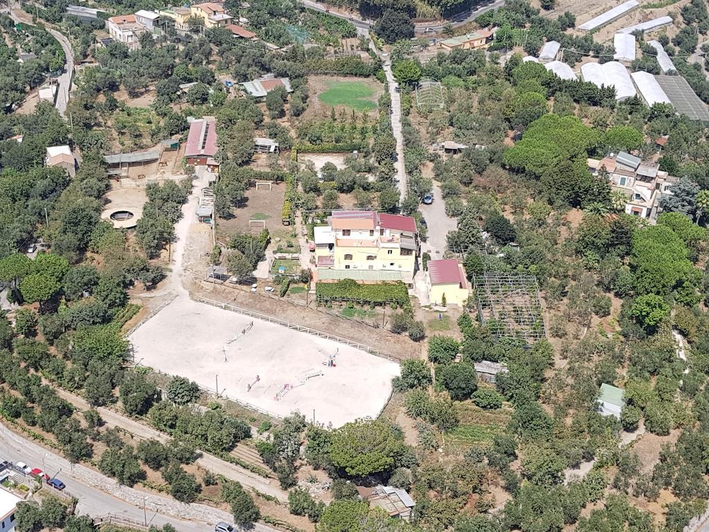 Agriturismo Piccolo Paradiso Piano di Sorrento Eksteriør billede