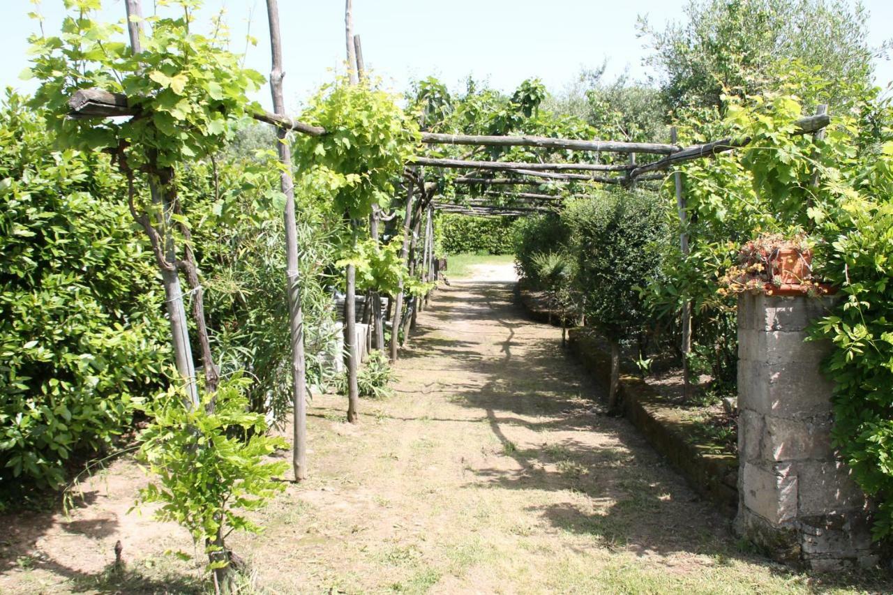 Agriturismo Piccolo Paradiso Piano di Sorrento Eksteriør billede