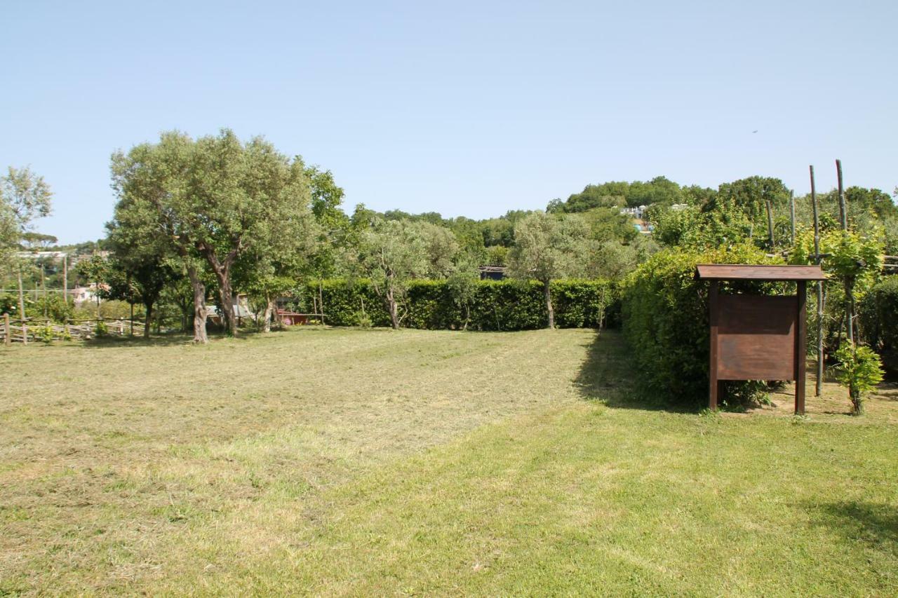 Agriturismo Piccolo Paradiso Piano di Sorrento Eksteriør billede